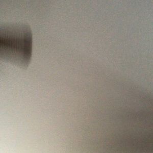 Meet your Posher, Riley